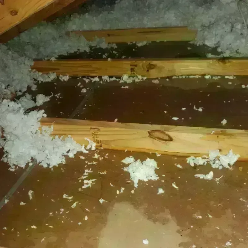 Attic Water Damage in Dakota City, IA